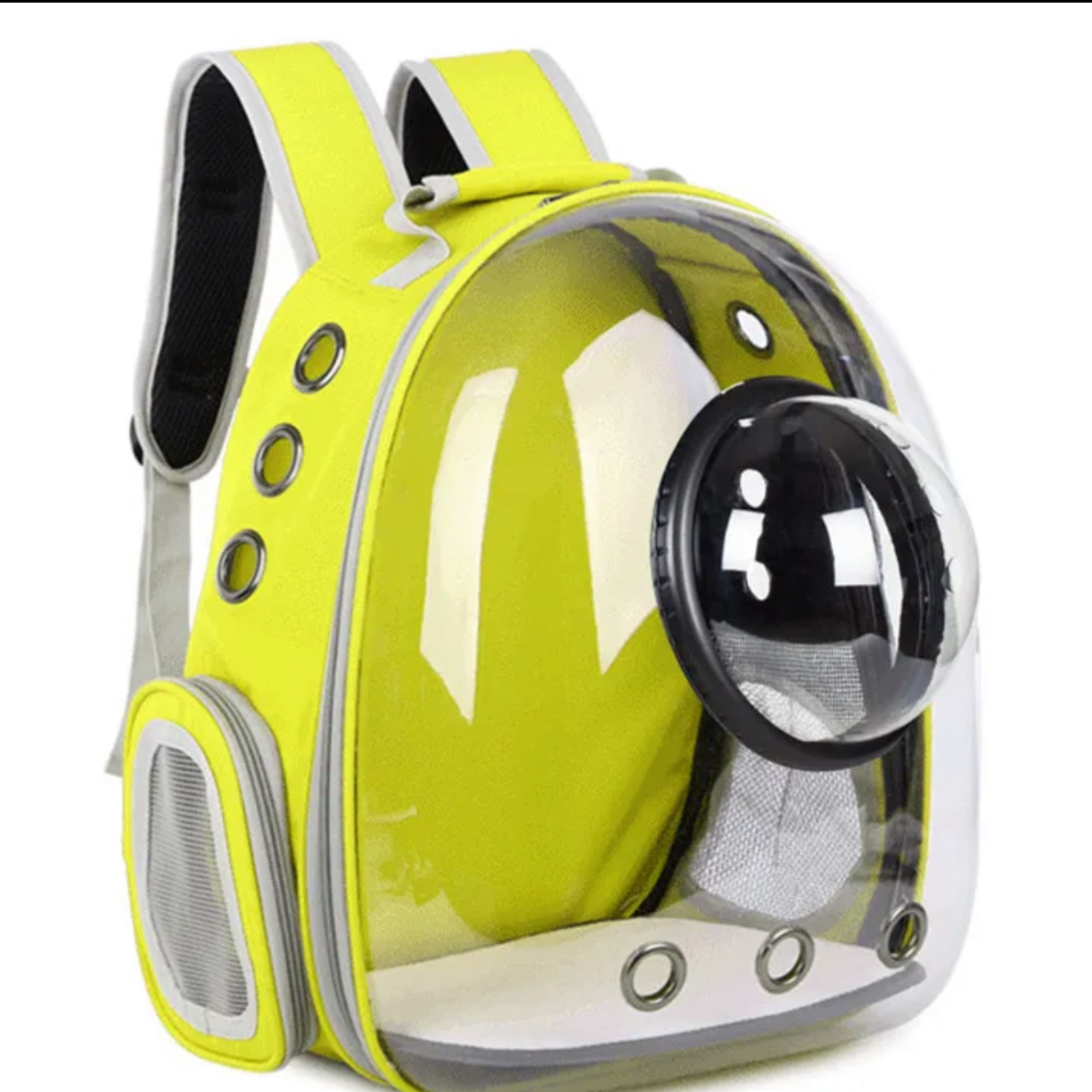 Pet Carrier Back Pack with Detachable Space Bowl