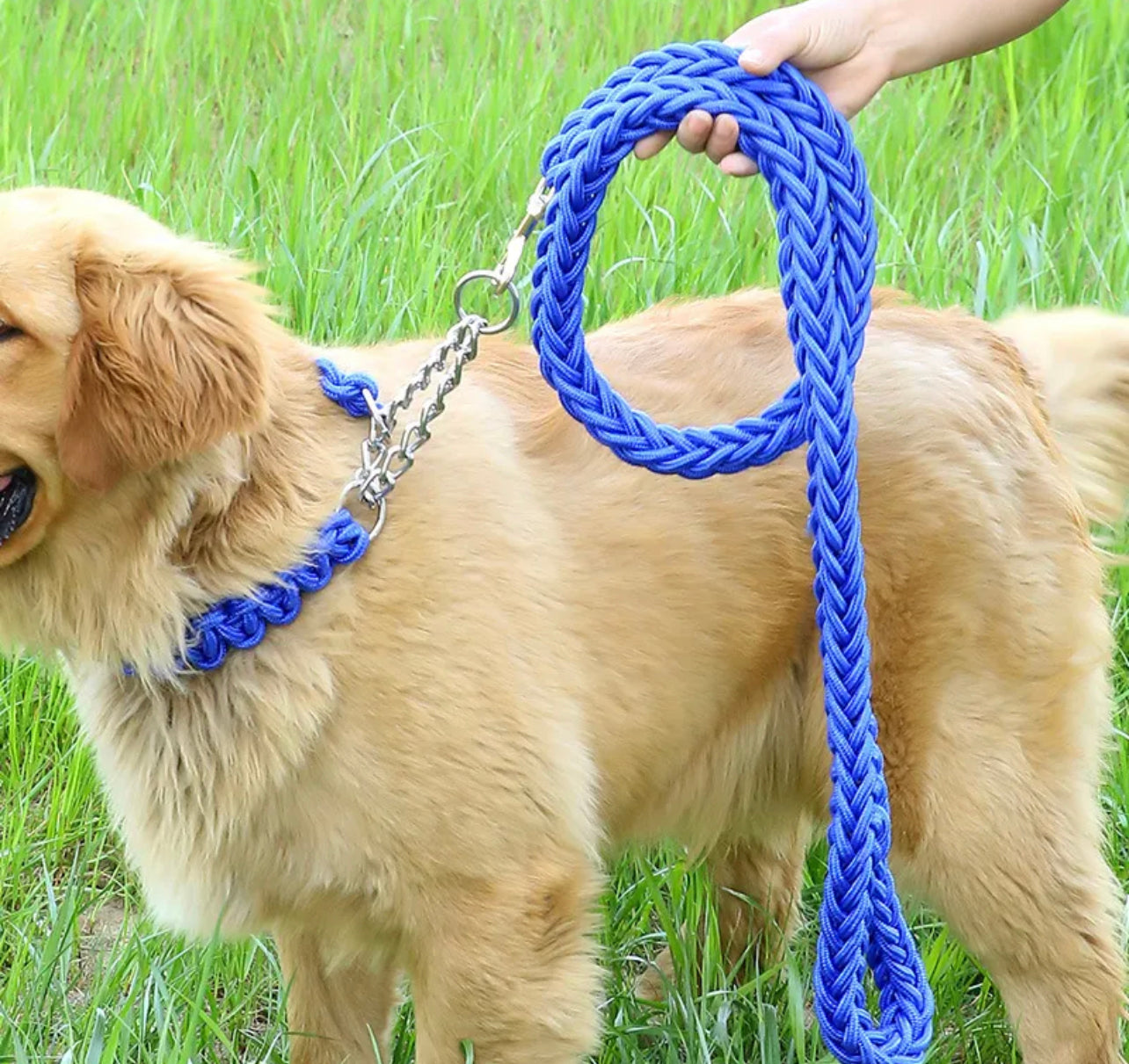 Nylon Braided Dog Rope Leash with Collar Set - Heavy Duty