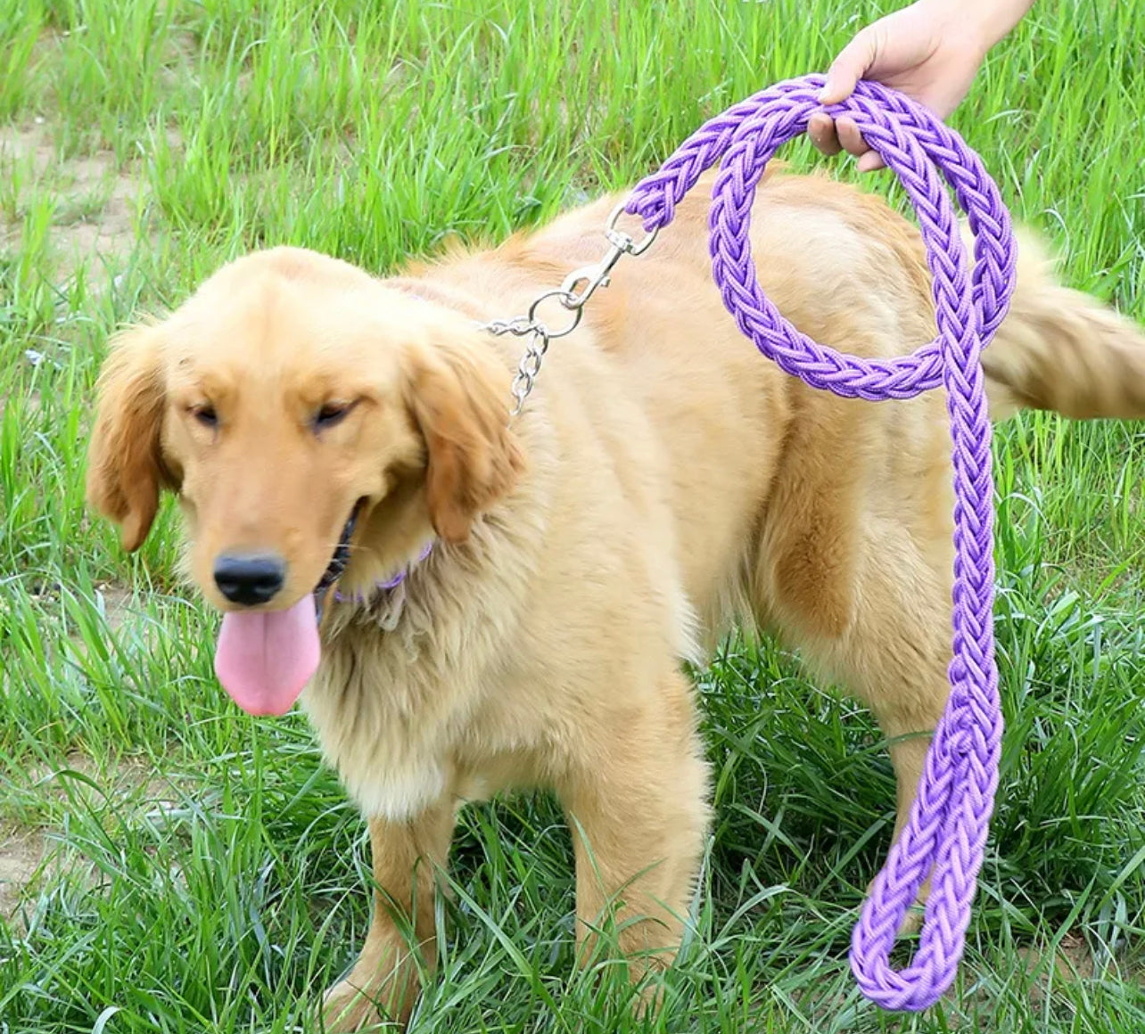 Nylon Braided Dog Rope Leash with Collar Set - Heavy Duty