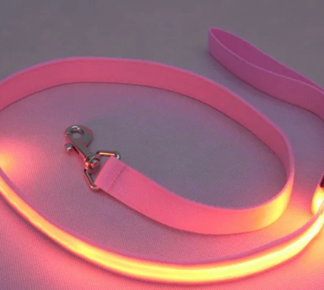 Pet Reflector Leash